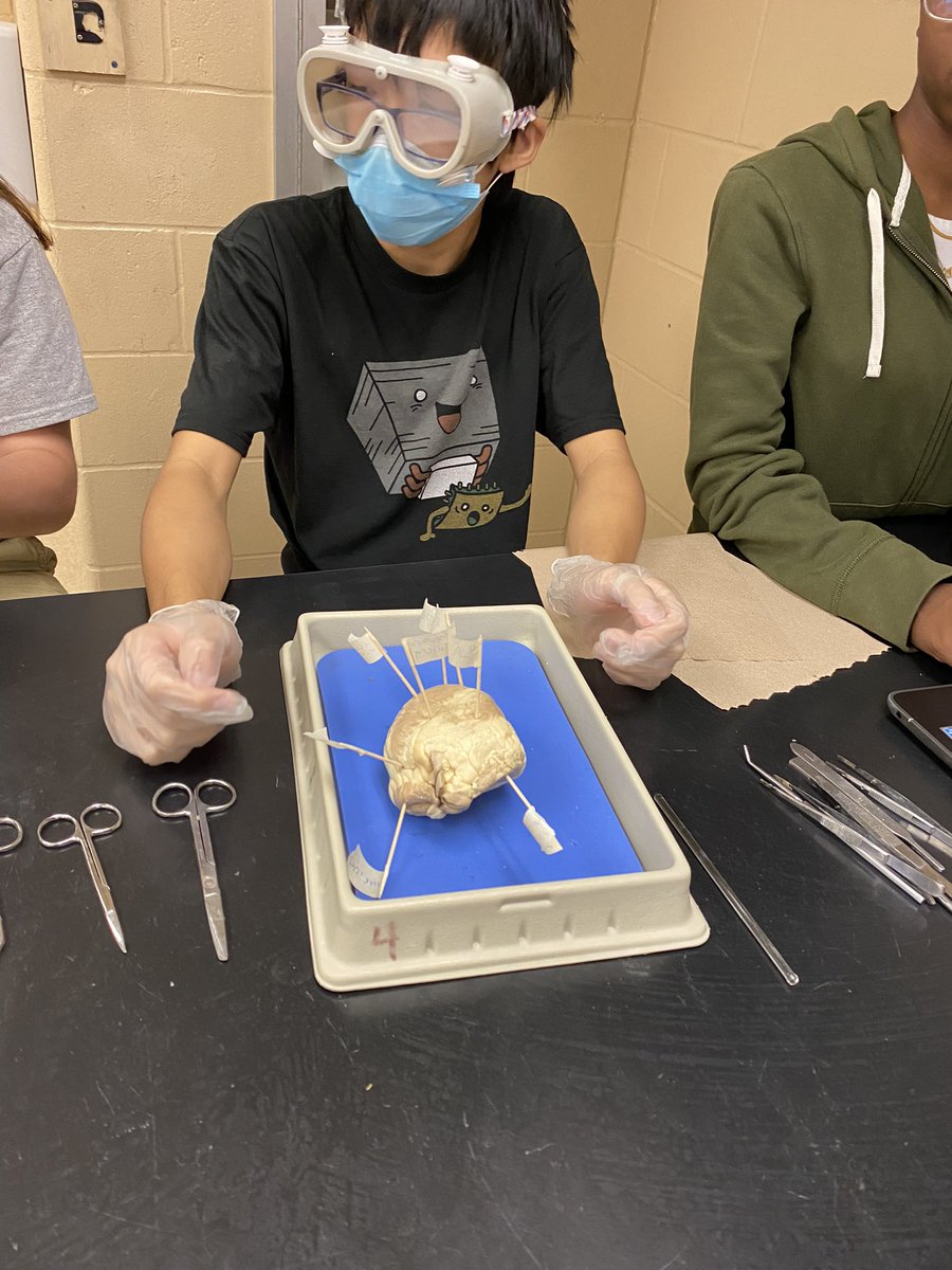 Billy Renfroe tweet media