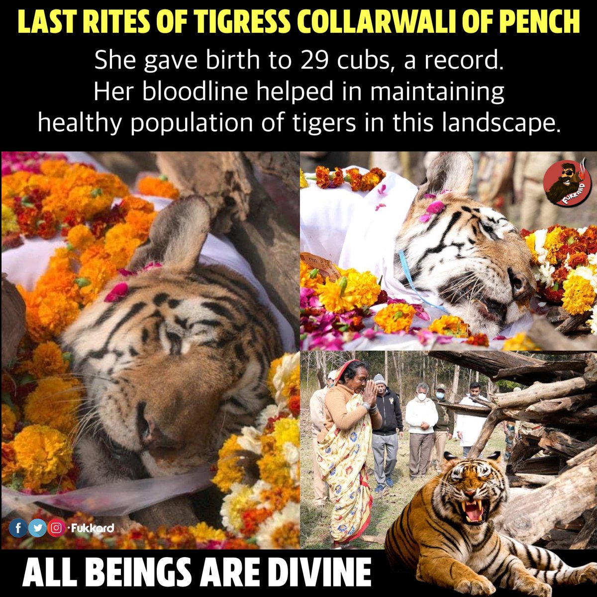commandoAbhay's tweet photo. RIP #Collarwali https://t.co/l7G3nx8Tfa