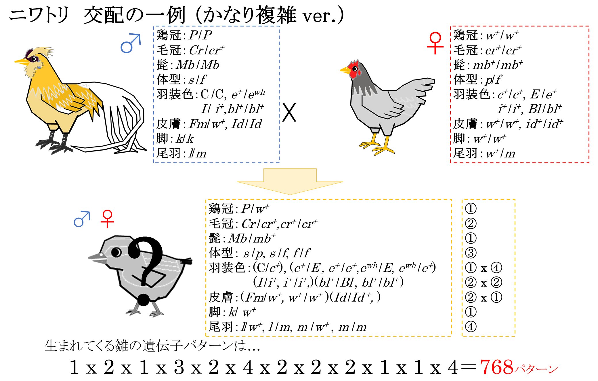 広大鶏 広島大学産 地鶏 Gallus Japan株式会社 Gallusjapan Twitter