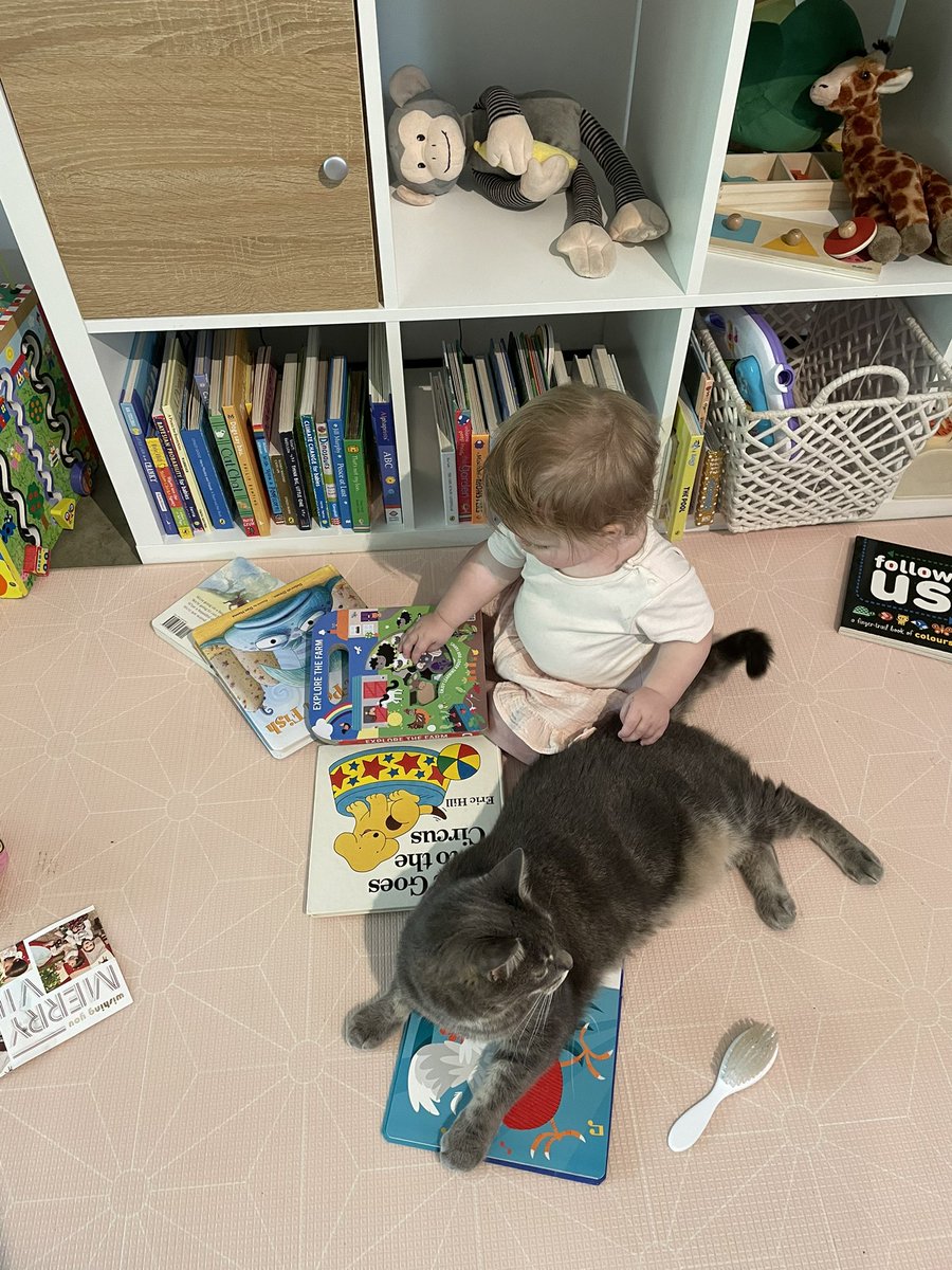 Alexandra Wade tweet media