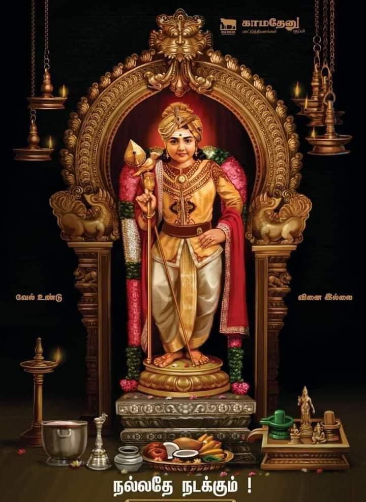 twittvickyy's tweet photo. தைபூசம் 🙏🏻 https://t.co/jAFLIeqqrd
