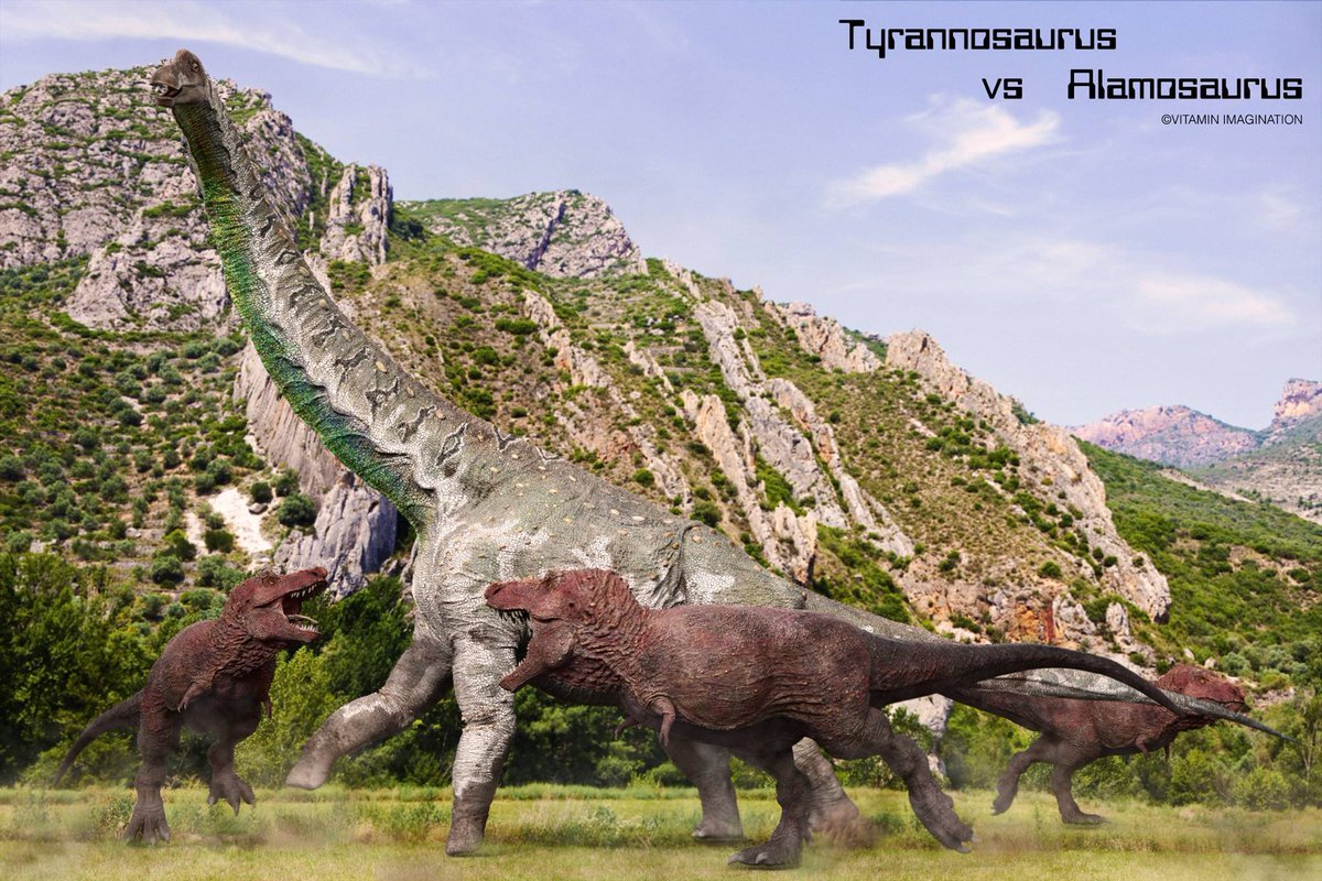 ryanpendzik2's tweet image. 3 Tyrannosaurs vs almosaurus