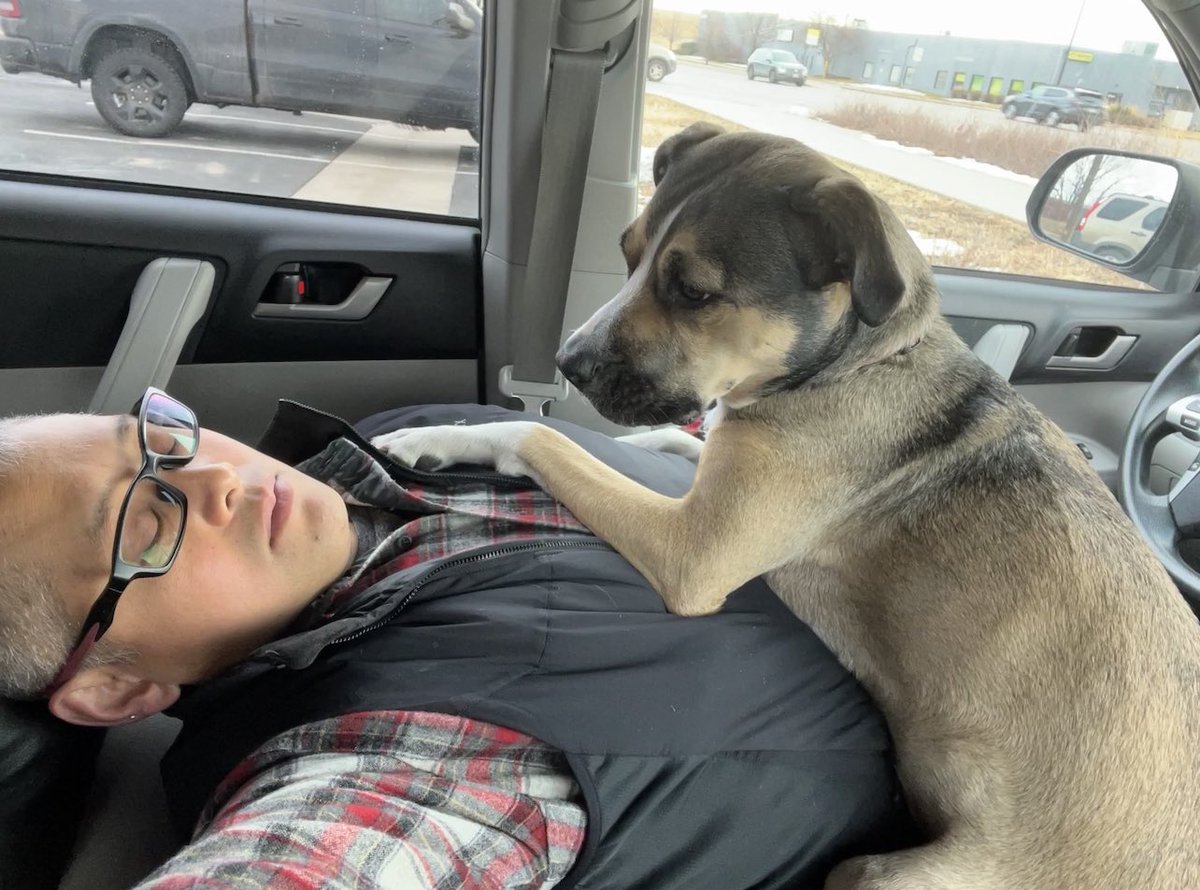 Bando_Beoudelet's tweet photo. Have been getting no more than 3-4 hours sleep since #marshallfire and #hotellife has not made it easy. Tried to grab a nap in the car. No way, says my little girl. #puppy #dogs #sleep #nosleep #hotel https://t.co/XtwPK7efAg