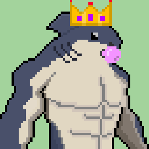 BuffSharksNFT's tweet photo. Shark
#NFT #NFTCommunity #nftcollector https://t.co/9lxDVCddM3