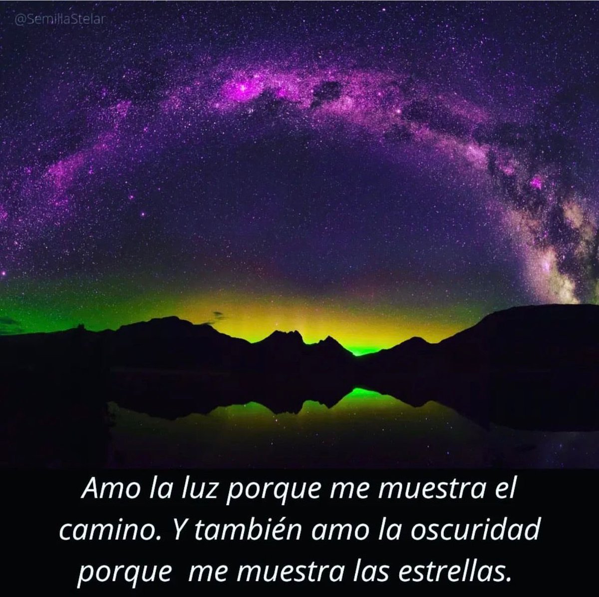 Frederic Emam-Zade tweet media