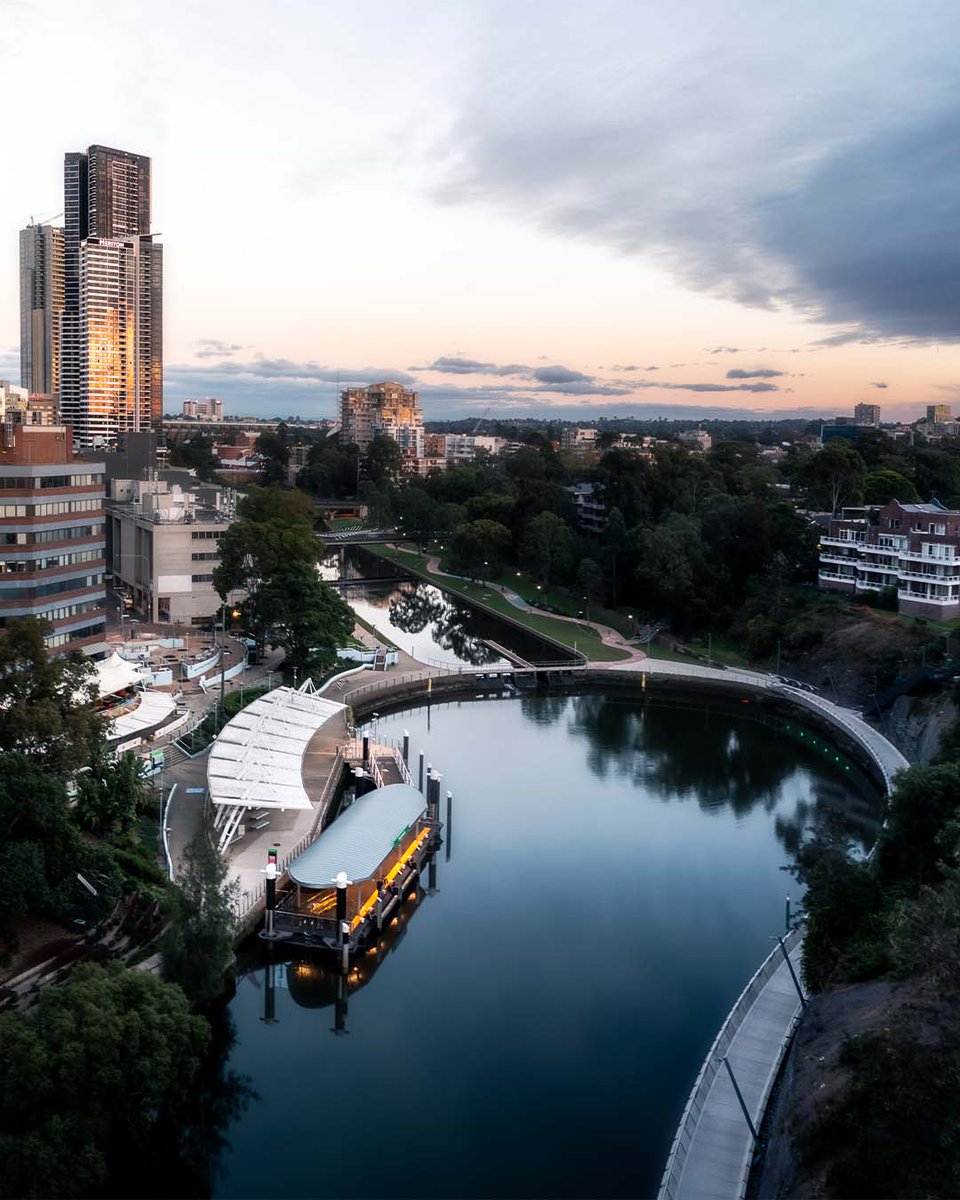 We ❤ the Parramatta River!

Next time you're walking along the river, keep your eyes peeled for local wildlife! You might spot an eastern long-necked turtle or catch a glimpse of one of our local eels.

What wildlife have you spotted near the river?

📸 by IG/sg.lc