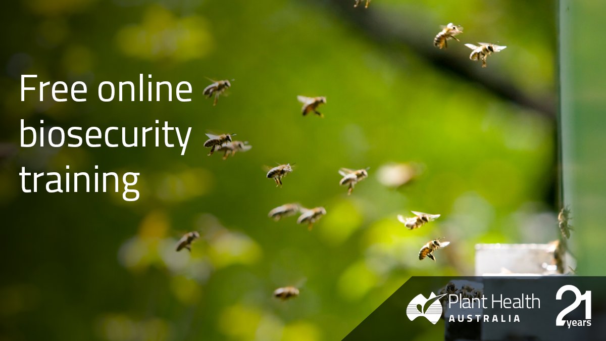PHA offers a free #biosecurity course for beekeepers. This course supports the Australian Honey Bee Industry Biosecurity Code of Practice and is one way to meet the training requirement of the Code. 🐝🐝🐝 bit.ly/2ONKLJS  
#biosecurity #honeybees #freetraining