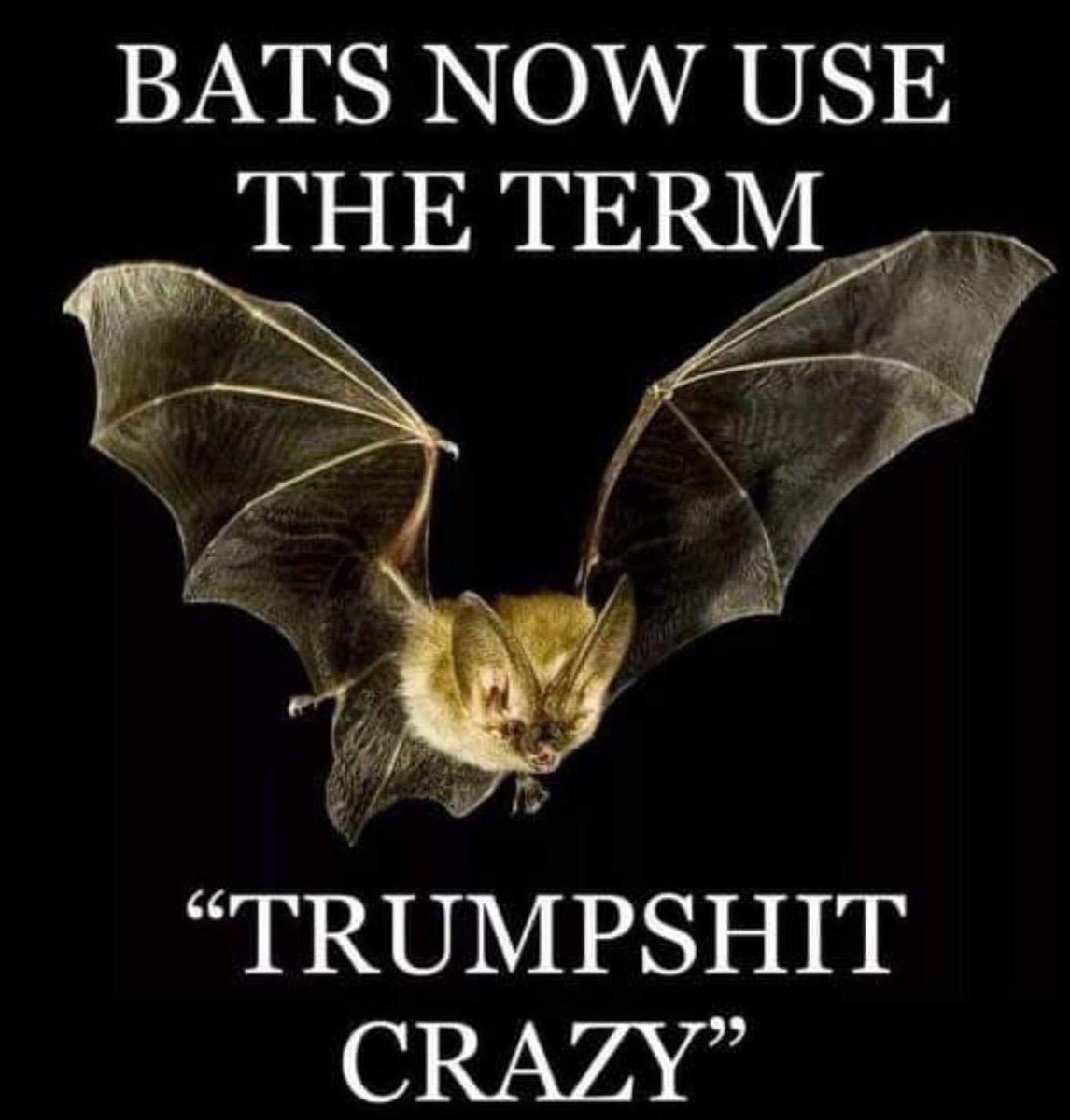 Nerrad1961's tweet photo. @evanthediplomat @moneywisecom https://t.co/AfZAhqIxMa