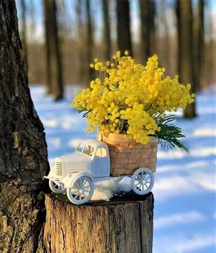 Behind the brilliance of the lights, we did not notice How half of the winter passed by ... We are moving towards Spring ...
🌿🌸🌿