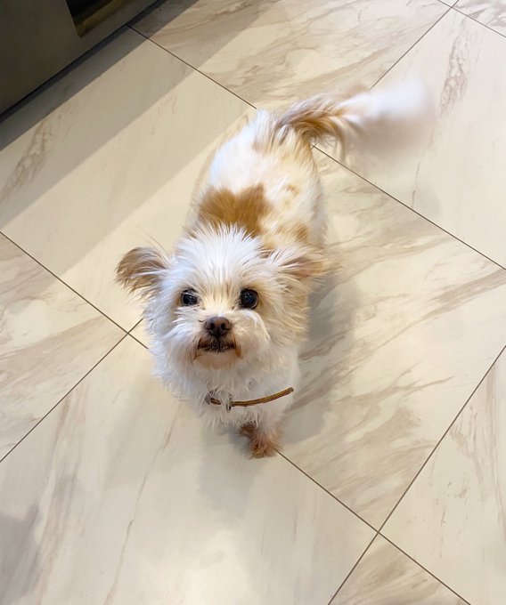 Twitterのコスプレ画像19