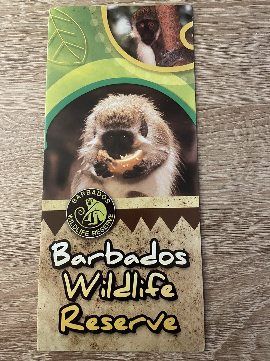 Barbados Wildlife Reserve located in the parish of St Peter just off of Farley Hill. Nestled in lush vegetation and mahogany trees, this four acre property is a natural sanctuary for the Green monkey. There are also turtles, deer and other animals to see.
visitbarbados.org/barbados-wildl…