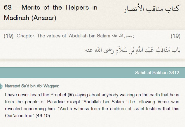 The companion Abdullah bin Salam (ra) is from the Ansar. Quran 46:10 is a Meccan revelation.Ikrimah, Shabi, and Masruq say this verse cannot be about Abdullah, for this entire Surah was revealed at Makkah. Ibn Jarir Tabari too. Hadith in Bukhari is not from the mouth of Rasool.