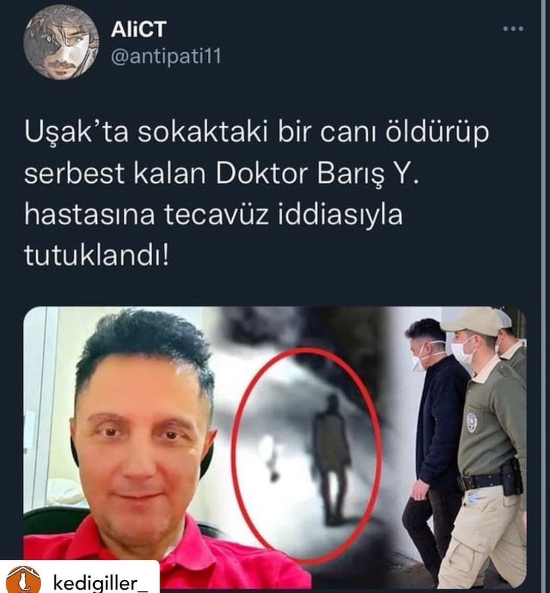 KanraGulengul's tweet photo. #VekilimMektubumaCevapVer  @PawGuardsTr  @gulbintosun  @ezgigozeger @alibabacan  @meral_aksener  @kilicdarogluk https://t.co/xHrD8gIwYq