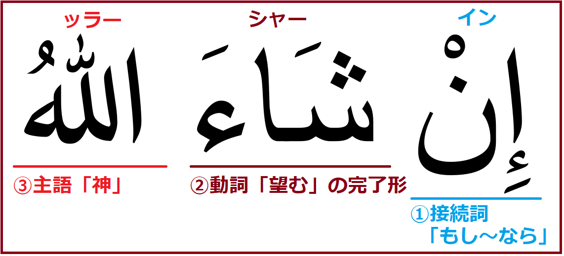 楽しいアラビア語単語 Arabic Taro Twitter