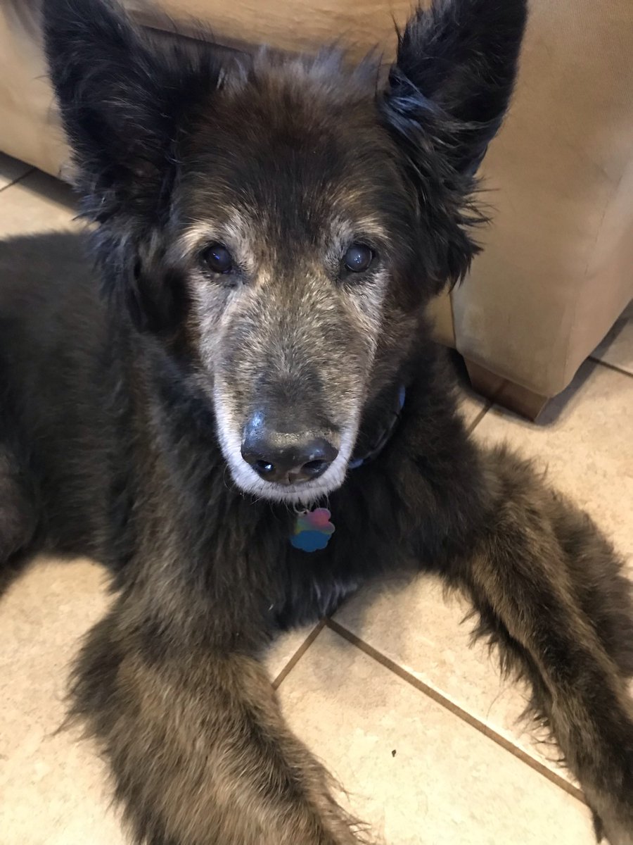 Truthma54666317's tweet photo. @santiagomayer_ He will be 18 years old in April. https://t.co/ouSqsi7CrA