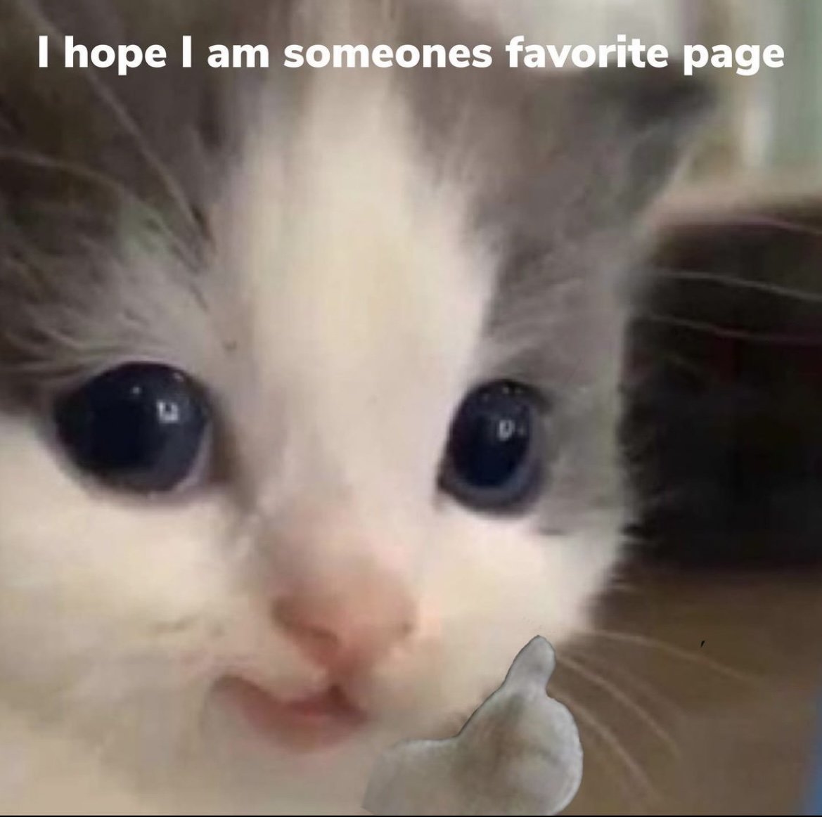 ᖴ ｌｏ  tweet media