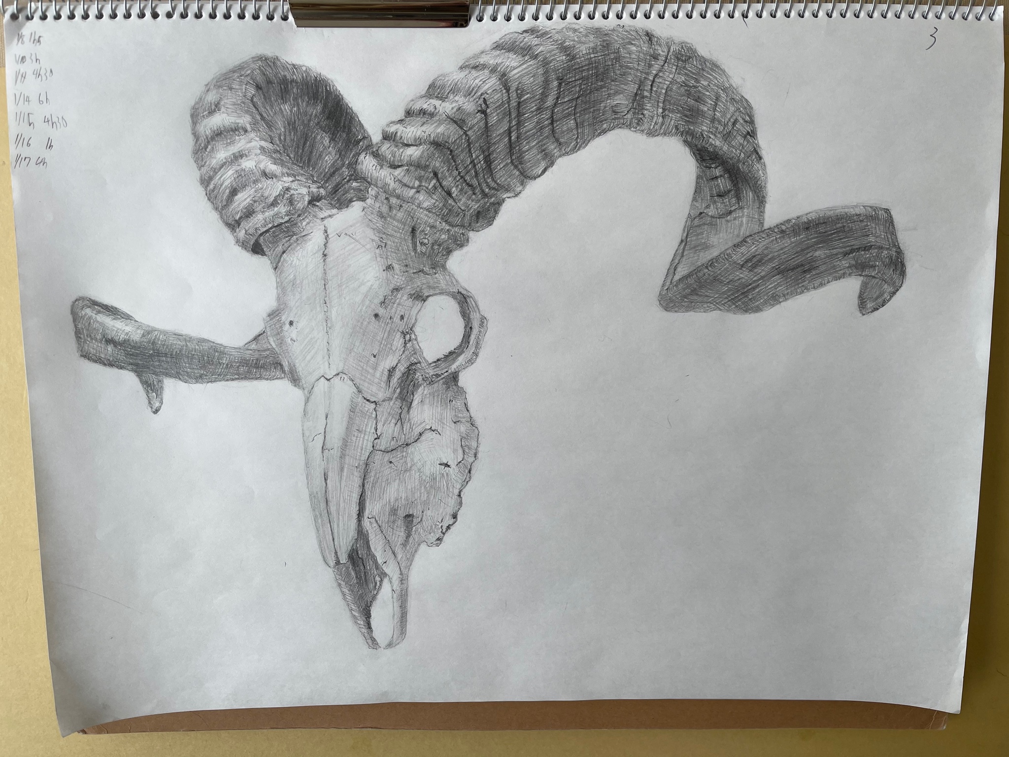 桜花 6bfbi7ydveszpl4 Twitter