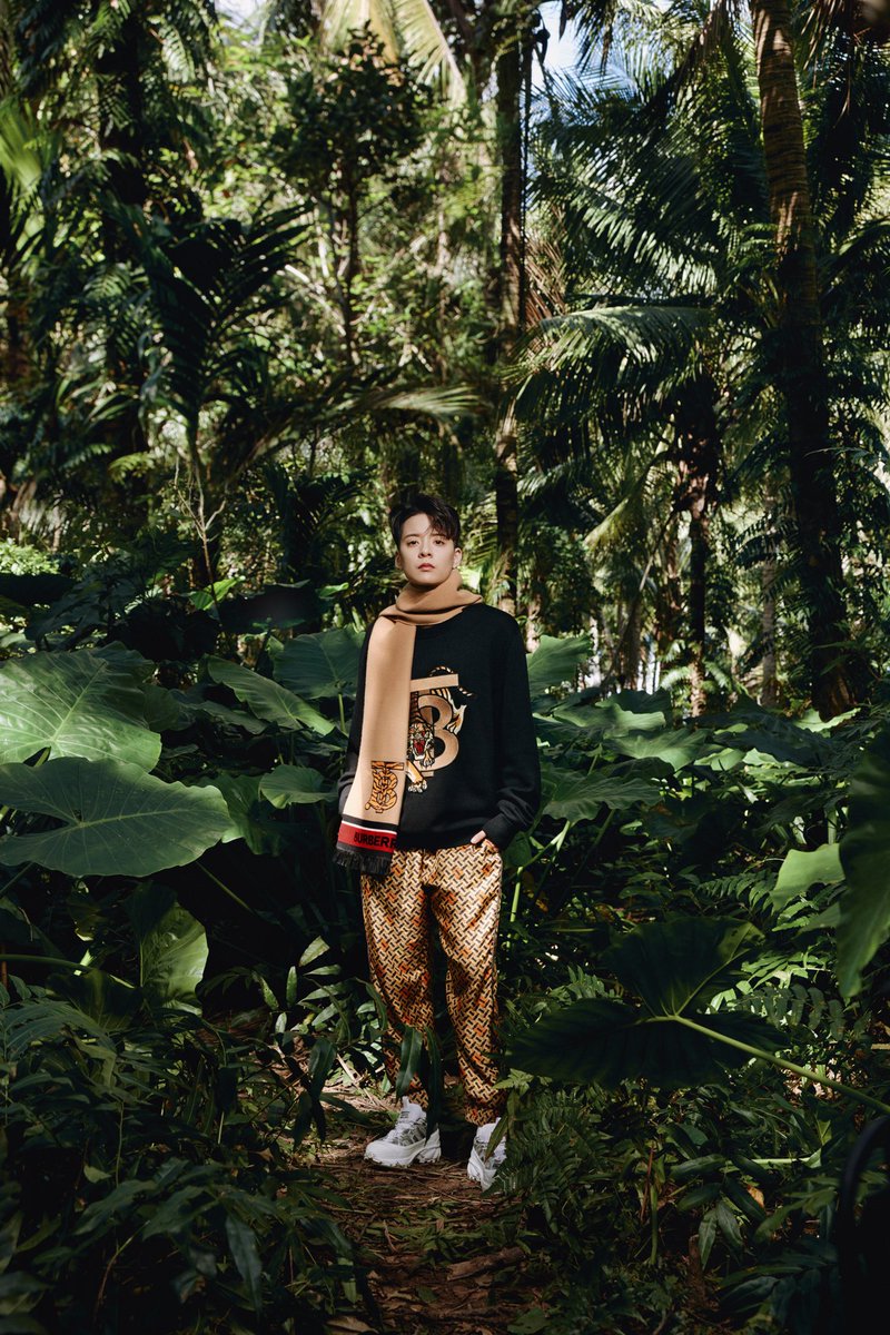 ambroliu's tweet photo. Amber x Burberry Lunar New Year Collection https://t.co/HLuPjnXlmo