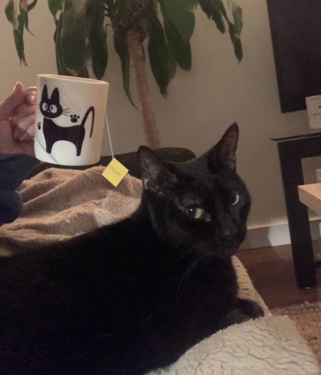 KatrinaDatrina's tweet photo. do u think she likes it? https://t.co/YrqCwZLWkx