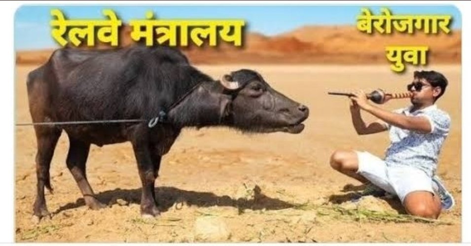 RAVISHSACHIN1's tweet photo. We want revised result. Injustice with students will not be tolerated at any cost! Stop cheating to the youth of this country!! We will show your position in upcoming UP election.
@AshwiniVaishnaw
 #RailwayMinister_HelpUs 
@PMOIndia

#RRBNTPC_1student_1result https://t.co/MSDnSdo4aJ