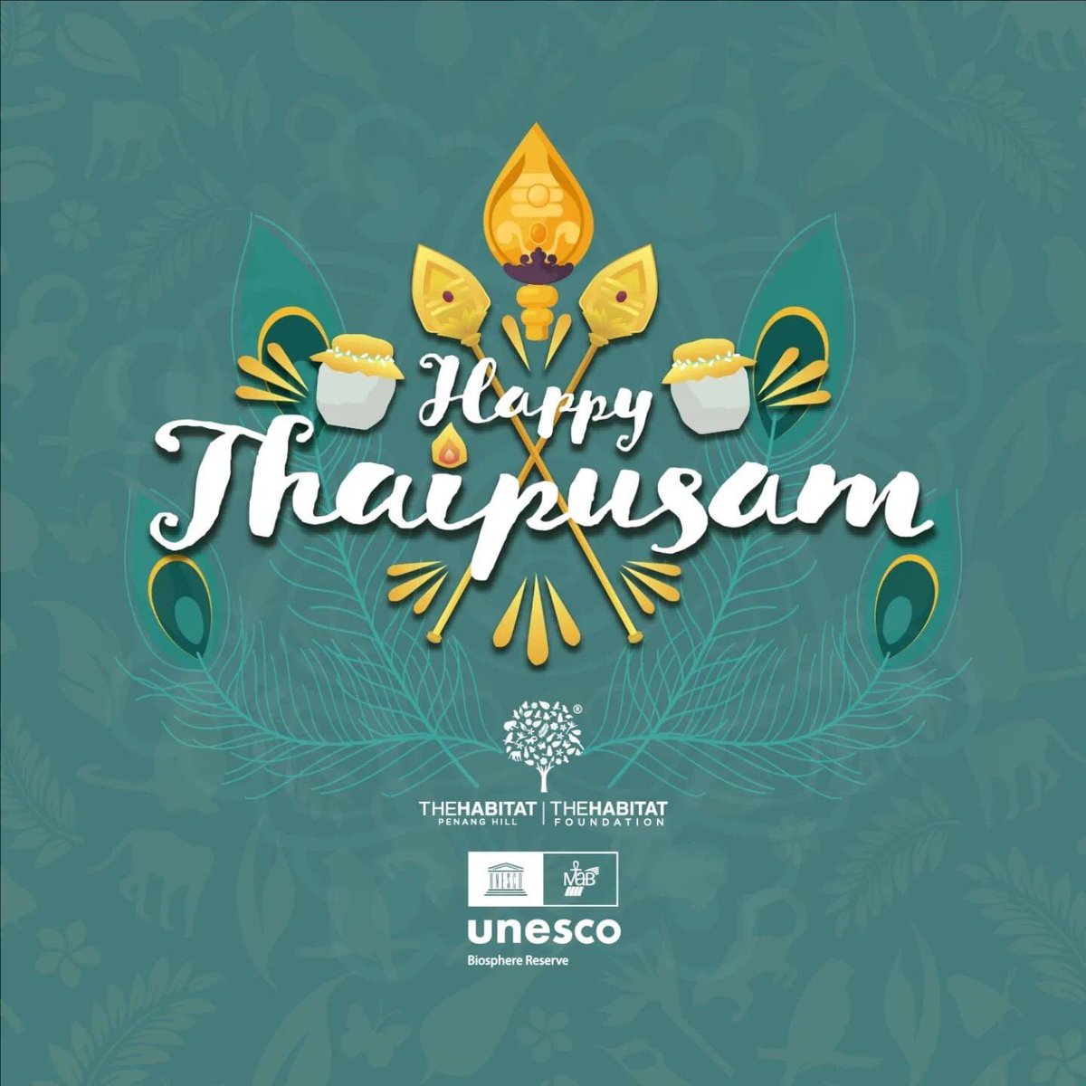 TheHabitatFoundation tweet media