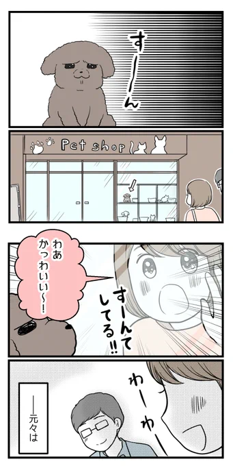 妊活で頭がいっぱいだった私を変えたもの③【読者さん妊活体験談40】

夫と散歩中に発見したのは・・・🐶

#漫画が読めるハッシュタグ 