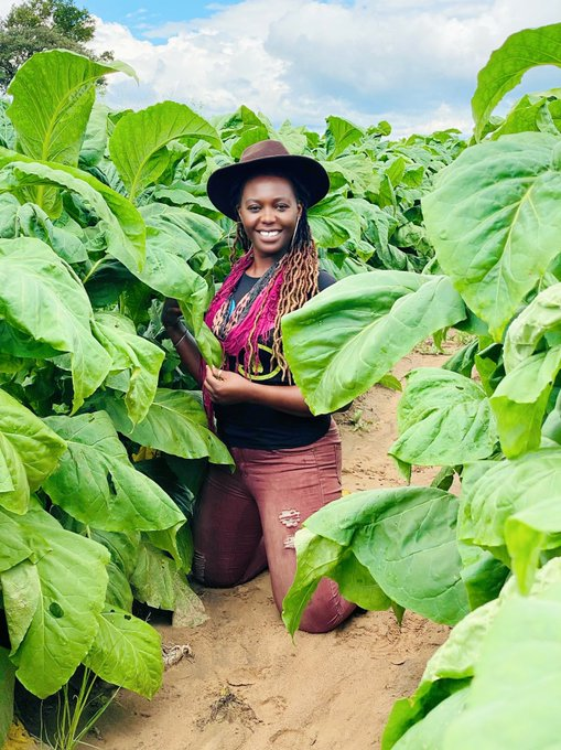 Agriculture Insider tweet media