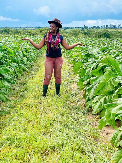 Agriculture Insider tweet media