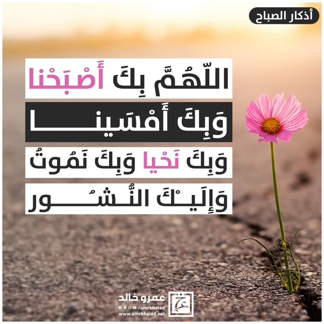 AmrkhaledN's tweet photo. https://t.co/3YI3QWBxIe