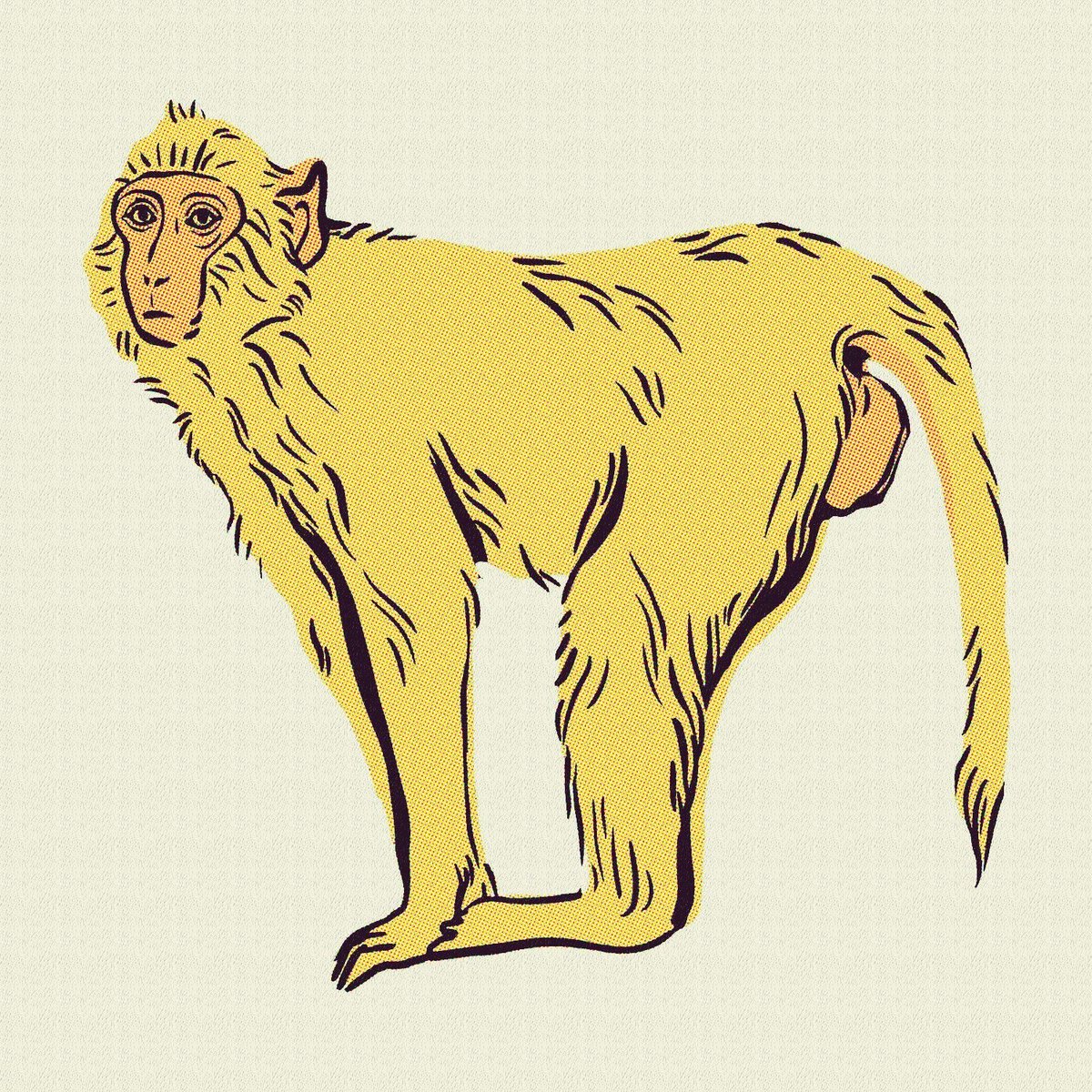 rs_suren's tweet photo. Peaceful Monkey 👇
Then I guess I have the monkey. 
https://t.co/arNvh4CH15 #rarible #ethereum #flow #nonfungible #digitalasset #nft @rarible
 #NFT #NFTCommunity #NFTGiveaway #nftart #eth #Ethereum #EthereumClassic #ethernals #ETHUSD https://t.co/jtAVkMCe2y