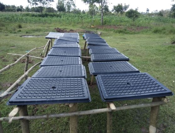 KenyaCIC's tweet photo. Youth Empowerment for Peace organization is a business that dries and packages fruits for export. The fruits include mangoes, bananas and pearls. The waste left behind after processing the fruits is used to rear the red snails for vermin production and organic fertilizer. (1/2) https://t.co/N88nqrhk4b
