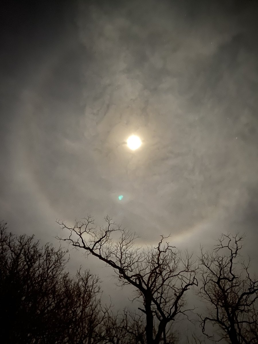 DillonWhitehead's tweet photo. Nice little moon halo showing out tonight @KBTXShel https://t.co/qX38mDP6La
