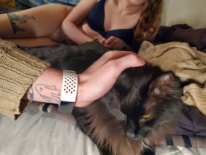 HEY EVERYONE HAVE YOU MET MY CAT? https://t.co/8oTbYYdpl2<a href="/tag/femme"class="tags"><span>#femme</span></a><a href="/tag/trans"class="tags"><span>#trans</span></a><a href="/tag/amateur"class="tags"><span>#amateur</span></a><a href="/tag/onlyfans"class="tags"><span>#onlyfans</span></a>