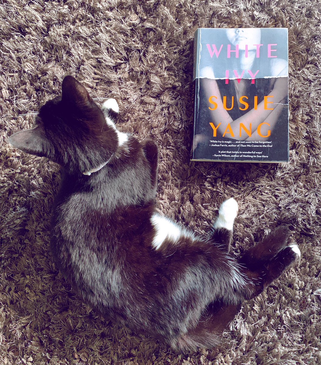 Couldn’t put this down.