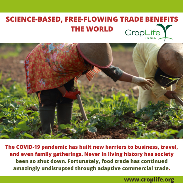 CropLifeIndia's tweet photo. The COVID-19 pandemic has built new barriers to business, travel, and even family gatherings. Fortunately, the food trade has continued amazingly undisrupted through adaptive commercial trade.
#croplifeinternational #croplifeasia #Dhanuka_agri #Syngenta #BASF #Bayer #PIINDLTD https://t.co/JLfnQ0X1Wh