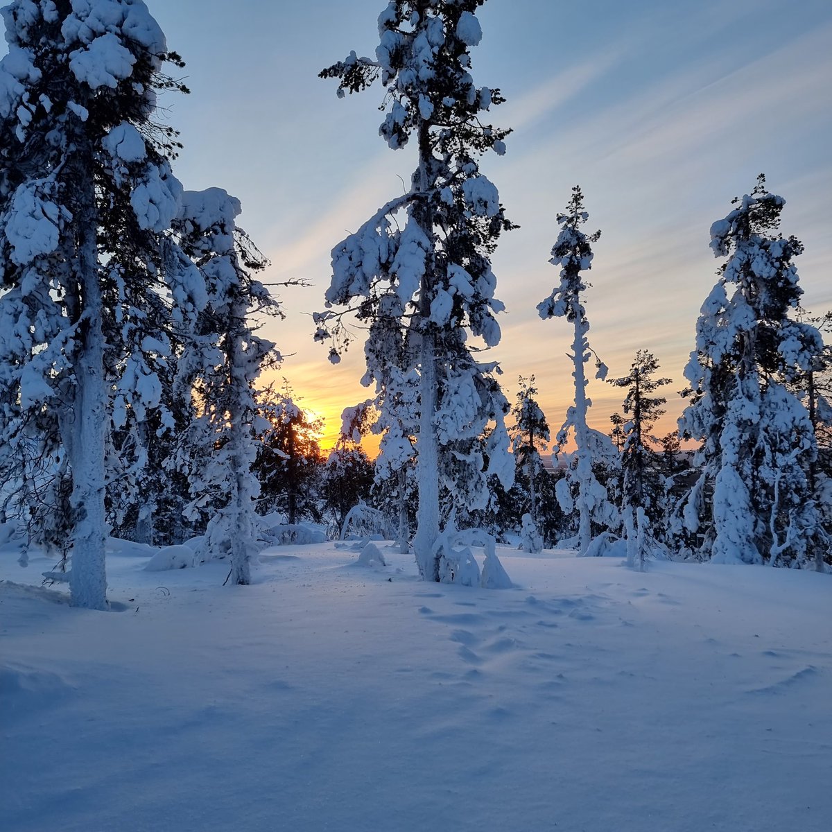 Päivä pitenee koko ajan ja uutta lunta on juuri tullut noin 30cm - meillä on ihanteelliset ulkoilukelit tammikuussakin!