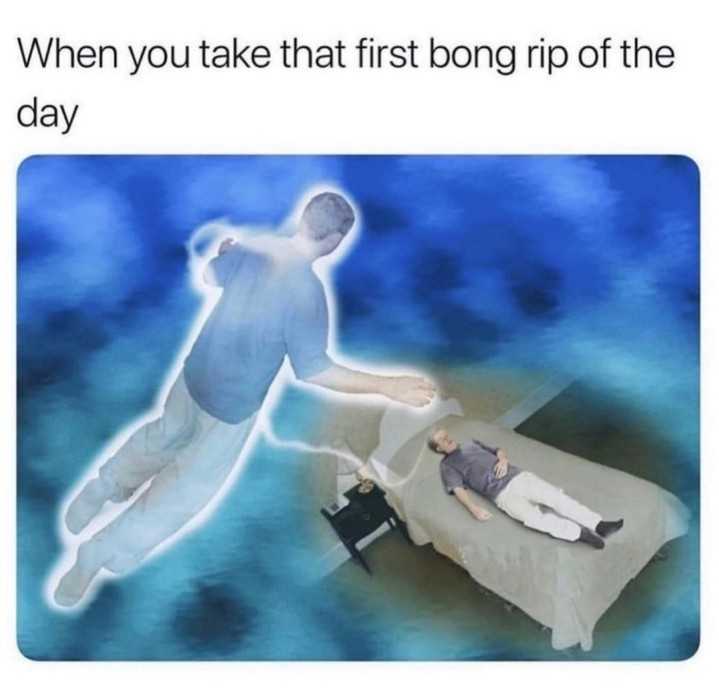 FrostPipe1's tweet photo. Why hello there, body!   

#420 #Cardano #CNFT #CardanoCommunity #NFT #Weed #stoners #blazeit #memes #WeedNFT #CardanoNFT #crypto #weedcrypto #Degen https://t.co/2wKIidVzDj
