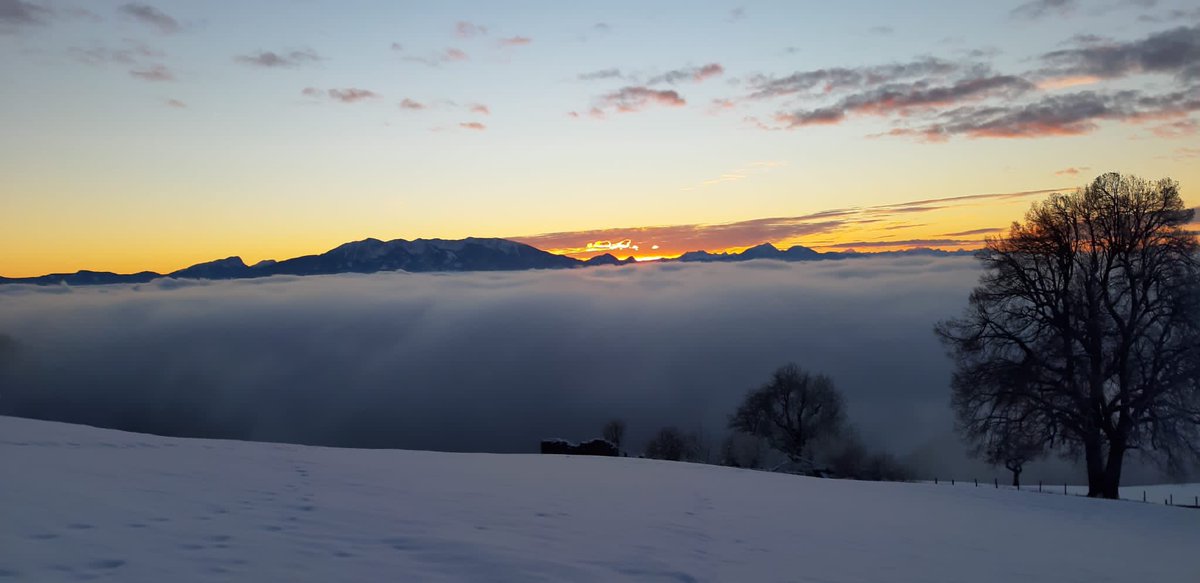 teamerepool's tweet photo. GM #twitter #Crypto #Cardano
shaking #cryptocurrency but #ADA is above $1.5 and on a good track.
Wish you a nice day from #Vienna
☕️☀️🛁
#Austria #Soboth #hiking https://t.co/7rw3hEg3um