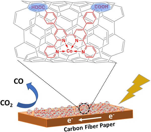 Check out the latest Article about Highly selective and efficient #electroreduction of #CO2 in water by #quaterpyridine derivative‐based molecular #catalyst noncovalently tethered to #CarbonNanotubes. @Wiley_Chemistry @ECat_papers 
Read it: doi.org/10.1002/smm2.1…