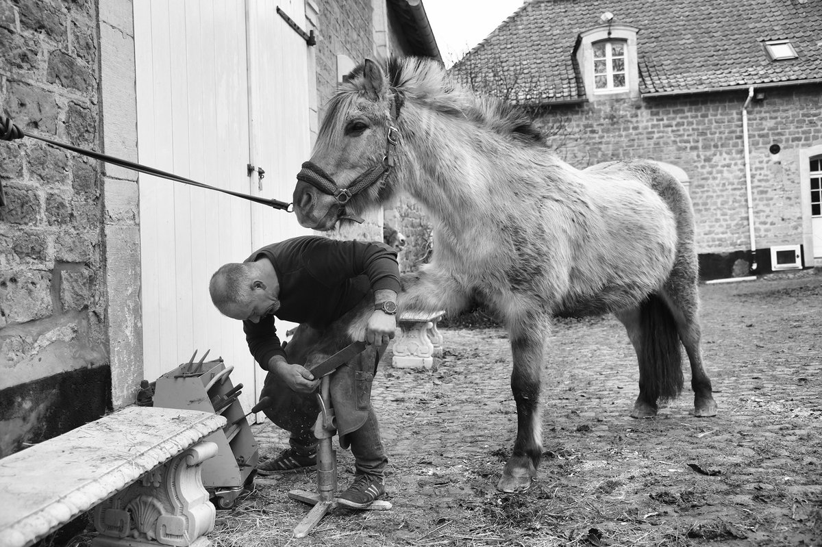 CDenacre's tweet photo. Petite manucure pour Pépito et Nénette ! 😉 #chateaududenacre #saintmartinboulogne #marechalferrant #cotedopale https://t.co/sk5zmlzrA7