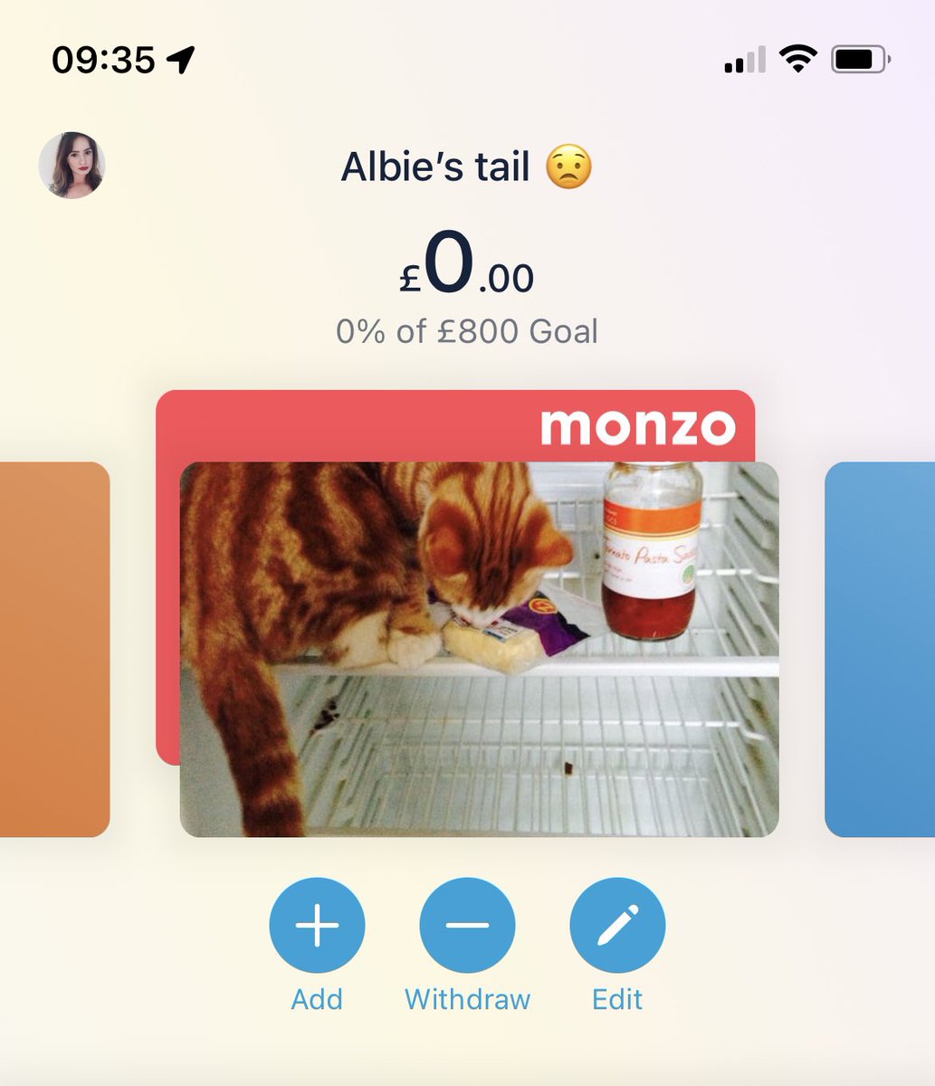 lauraedithalice's tweet photo. @monzo #MonzoTopUpMyPot my poor cat with thumbs needs his tail amputated after being hit by a car 😢 https://t.co/kpdZeiU90a