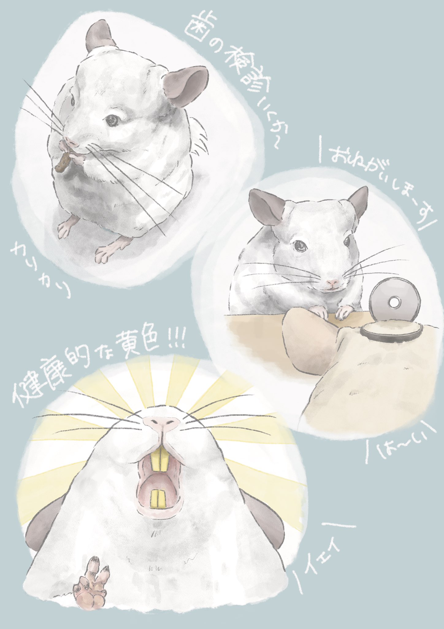 公式 ネズミまみれ 22年2月11日 13日 Nezumi Mamire Twitter