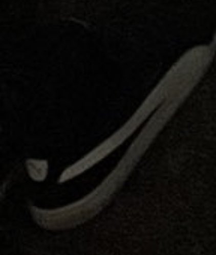 Timon Piccini tweet media