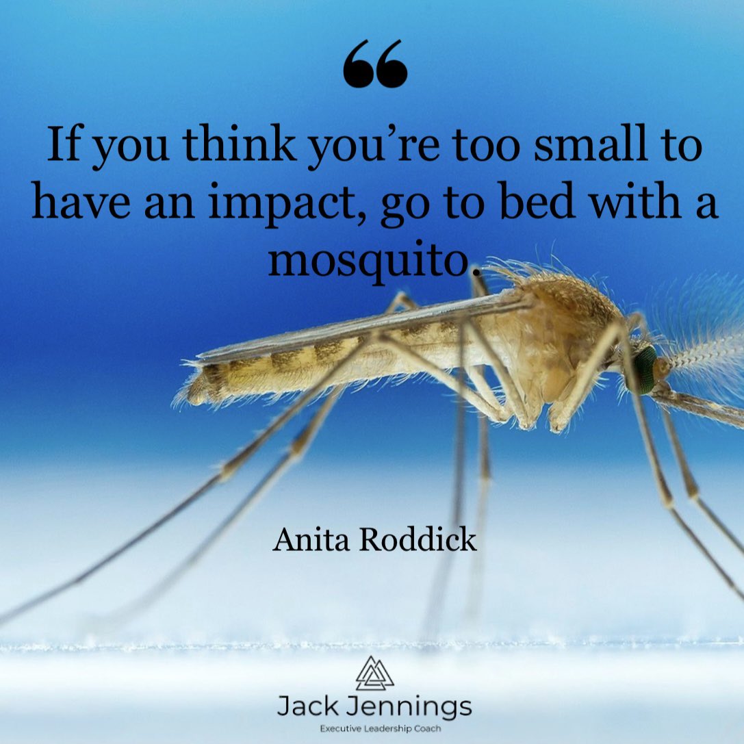 Too small to have an impact? 

Think again…

How are you having impact? 

#leadership #coaching #personaldevelopment #motivation #jackjenningselc