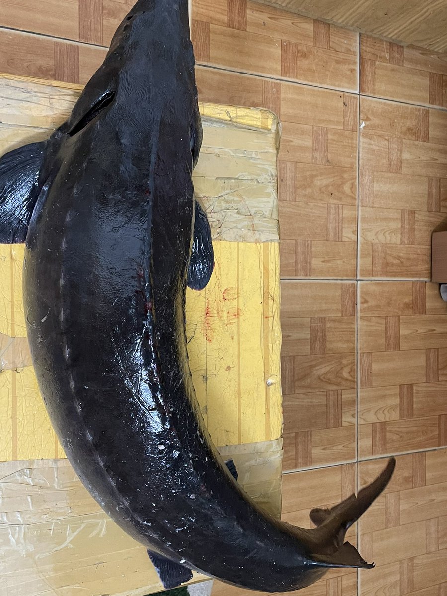 Tết chỉ thế này 😍