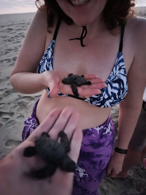I saw crocodiles 🐊 and released black baby turtles 🐢 into the ocean.  It was a fun day https://t.co/