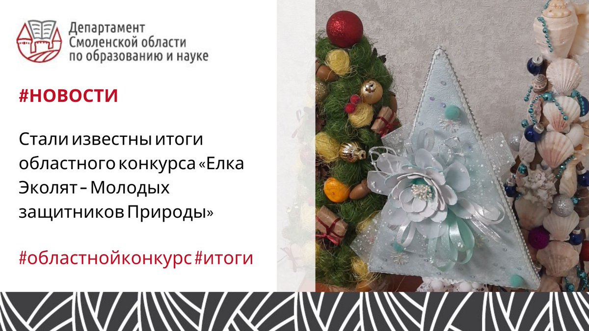 итоги областного конкурса елка эколят