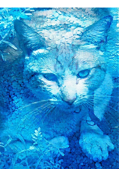 amandmunoz's tweet photo. @DigitAngelo Check out this "Lonely Cat 56°" on OpenSea https://t.co/9HHlMceSjy via @opensea | Chain: POLYGON (NO gas fee) 
#nfts #nft #nftart #nftartist #nftcollector #cryptoart #digitalart #nft
#nftcollector #nftartists #digitalart #NFTLAUNCH  #nftartex #cryptopunks https://t.co/YZCWyVkE3o
