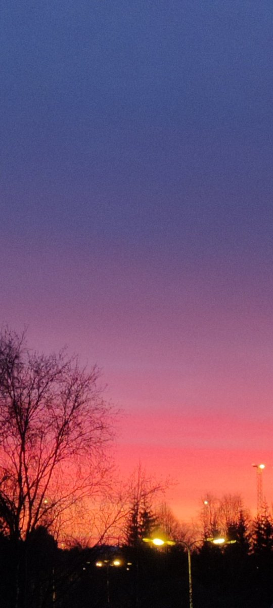 OurLapland's tweet photo. Beautiful morning view in the Arctic circle. See the sky. #MorningLive #visitLapland #rovaniemi #Finland https://t.co/6NERIalRO4