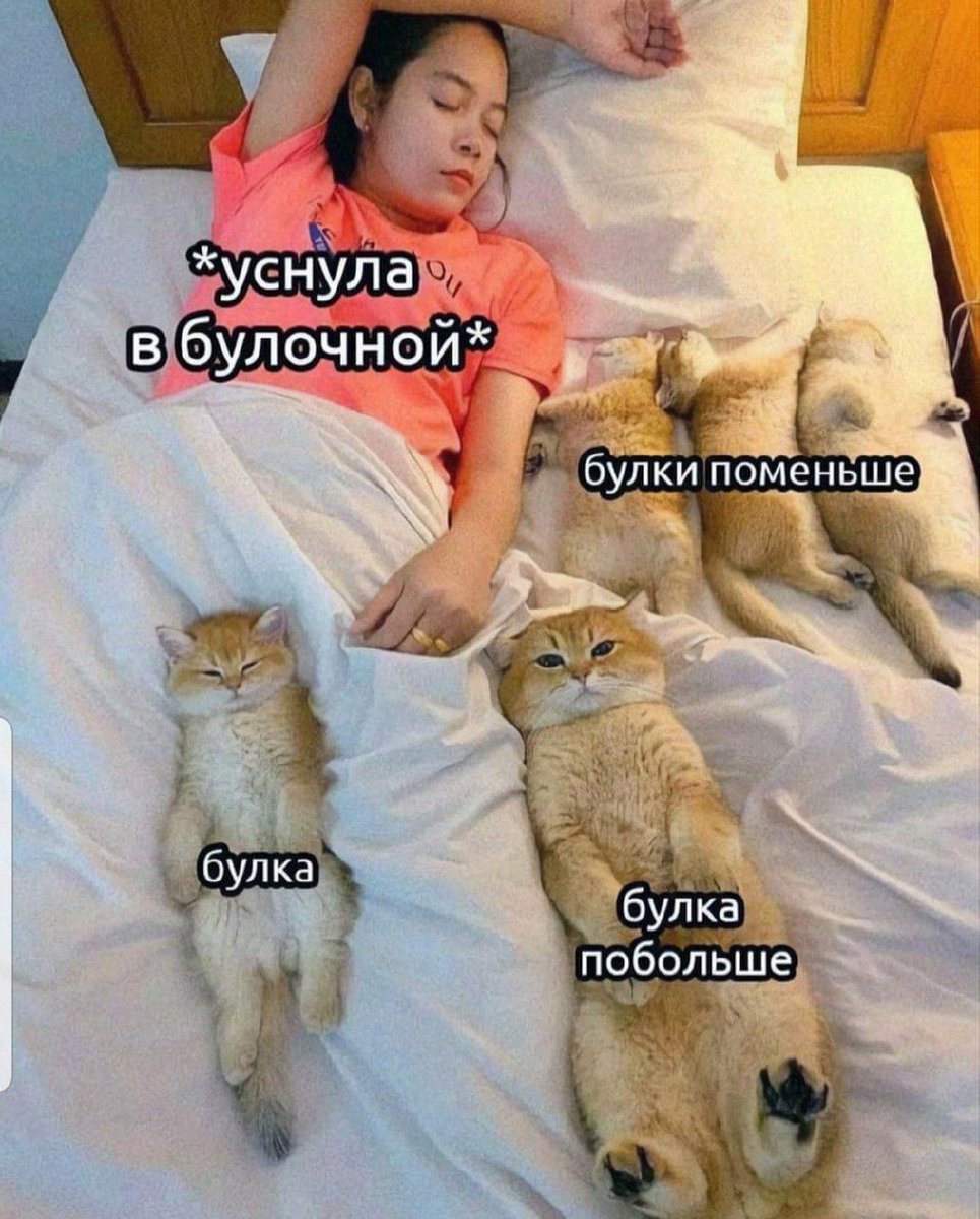 melting_foxtato's tweet photo. С утречбком https://t.co/fiAZ2WwBnt